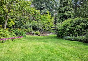 Optimiser l'expérience du jardin à Soussey-sur-Brionne